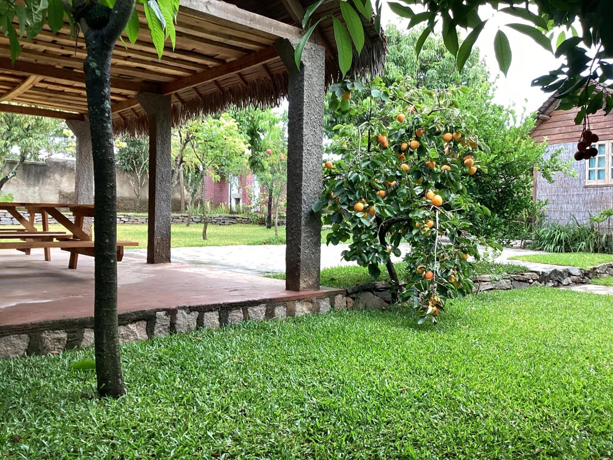 Villa Chezsoa, อันตานานารีโว ภายนอก รูปภาพ