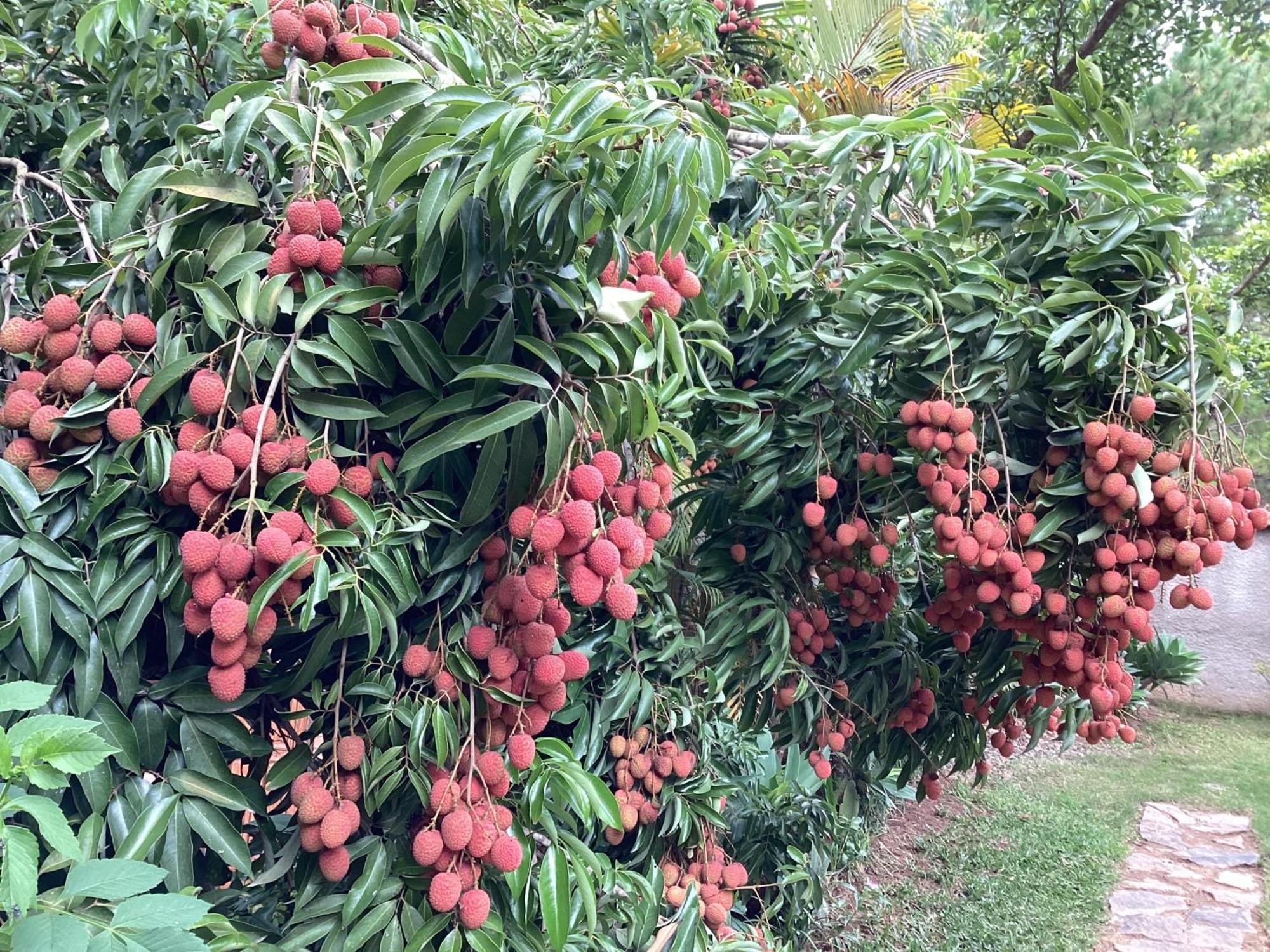 Villa Chezsoa, อันตานานารีโว ภายนอก รูปภาพ